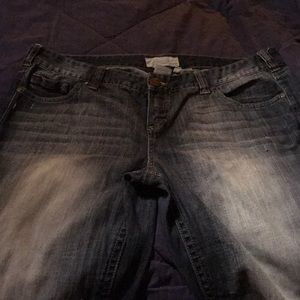 Maurice’s jeans Ashlyn boot cut